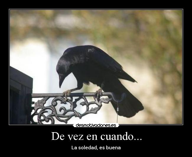 De vez en cuando... - 