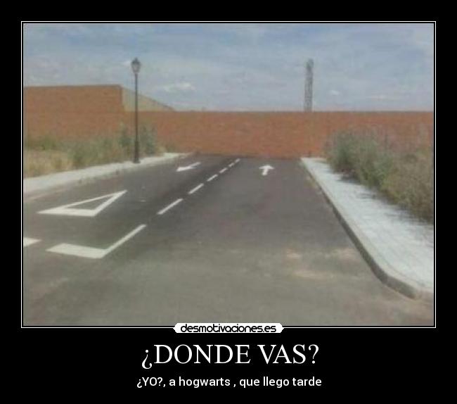 ¿DONDE VAS? - ¿YO?, a hogwarts , que llego tarde