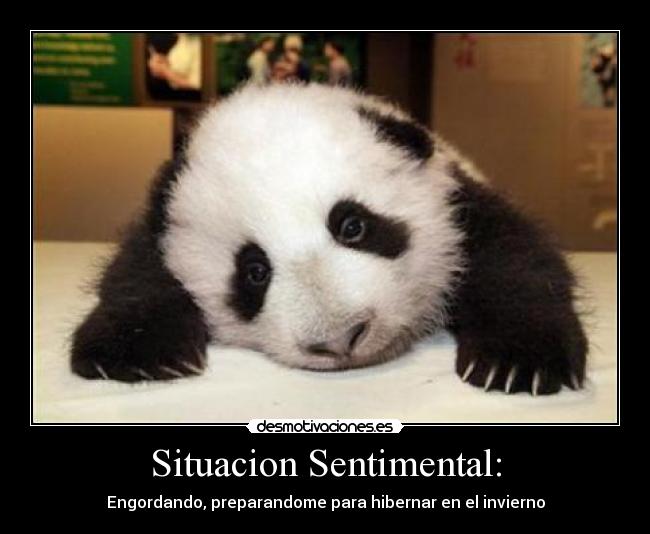 Situacion Sentimental: - Engordando, preparandome para hibernar en el invierno