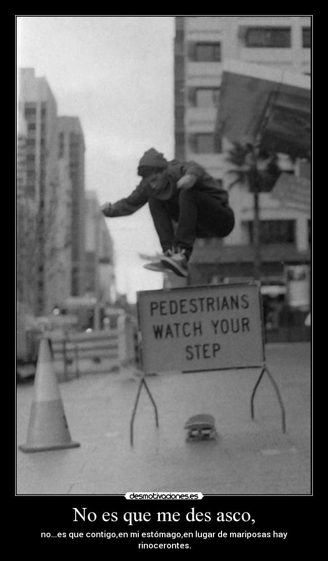 No es que me des asco, - no...es que contigo,en mi estómago,en lugar de mariposas hay rinocerontes.