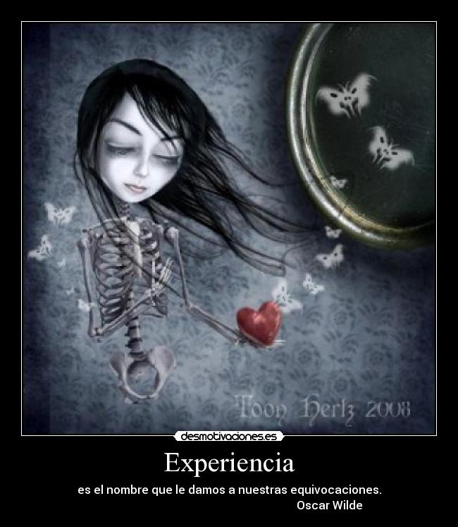Experiencia - 