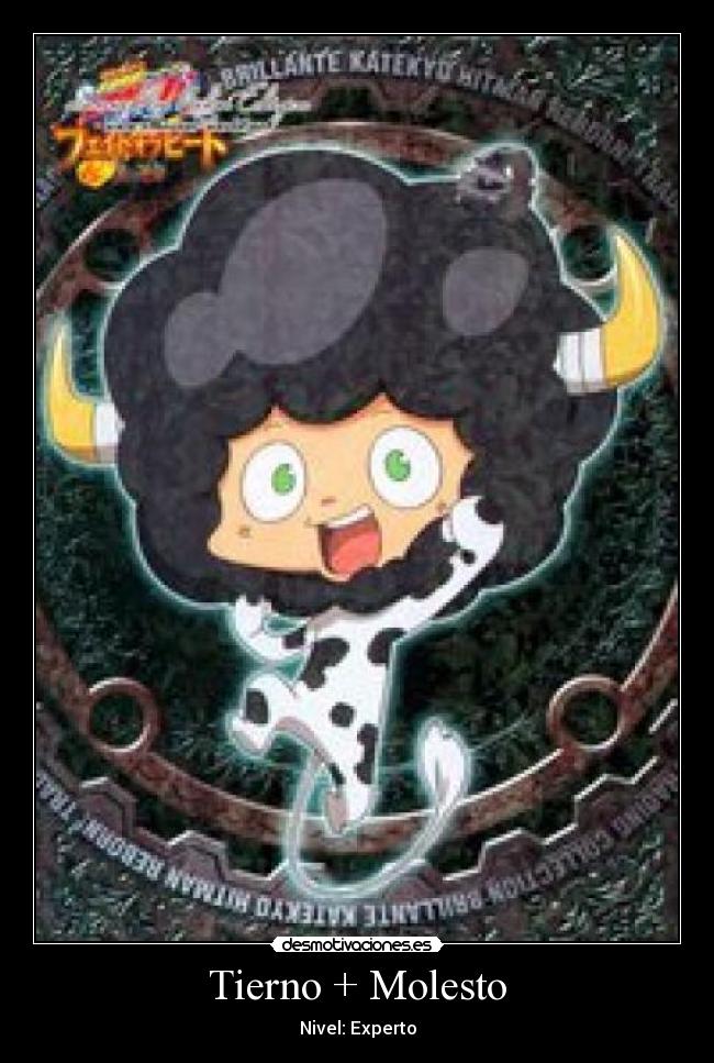 Tierno + Molesto - Nivel: Experto