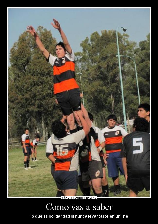 Como vas a saber - lo que es solidaridad si nunca levantaste en un line