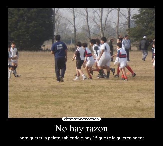 carteles rugby desmotivaciones