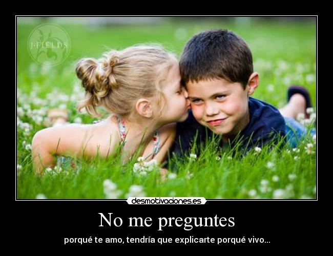 No me preguntes - porqué te amo, tendría que explicarte porqué vivo...