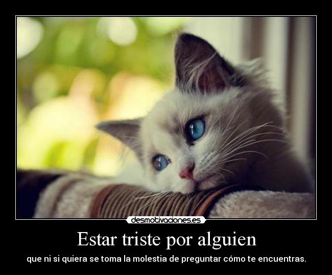 Estar triste por alguien - 