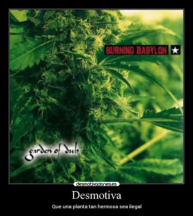 Desmotiva -