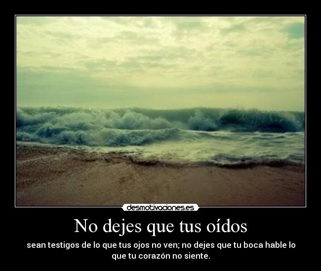 carteles leoteamo desmotivaciones