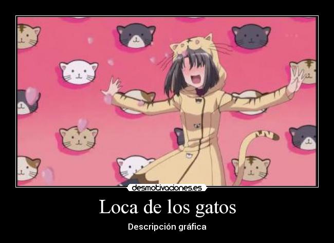 Loca de los gatos - Descripción gráfica