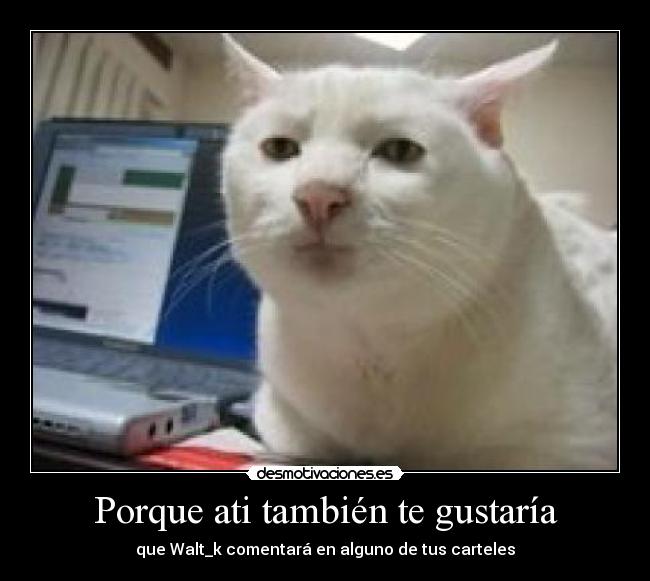 Porque ati también te gustaría - 