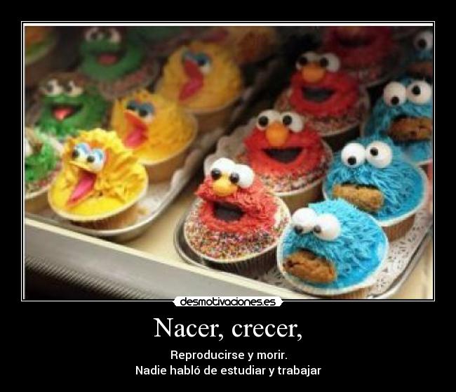 Nacer, crecer, -