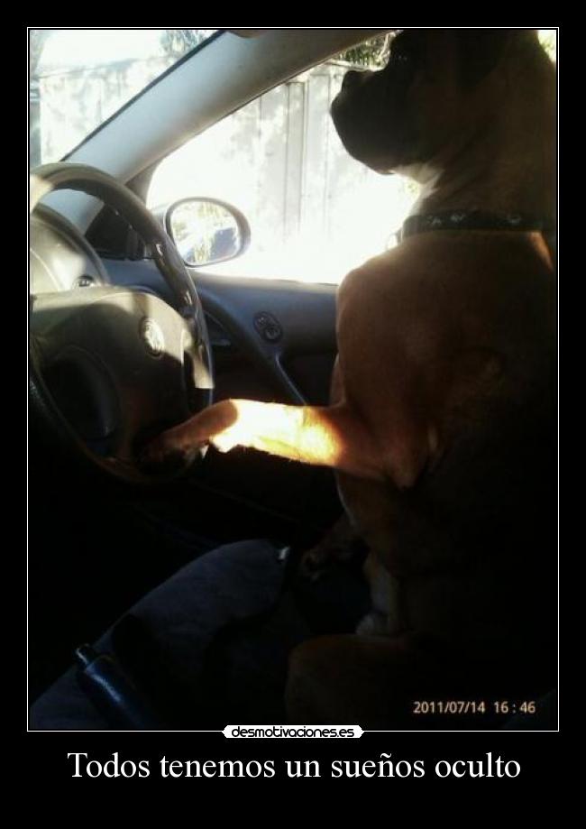 Todos tenemos un sueños oculto - 