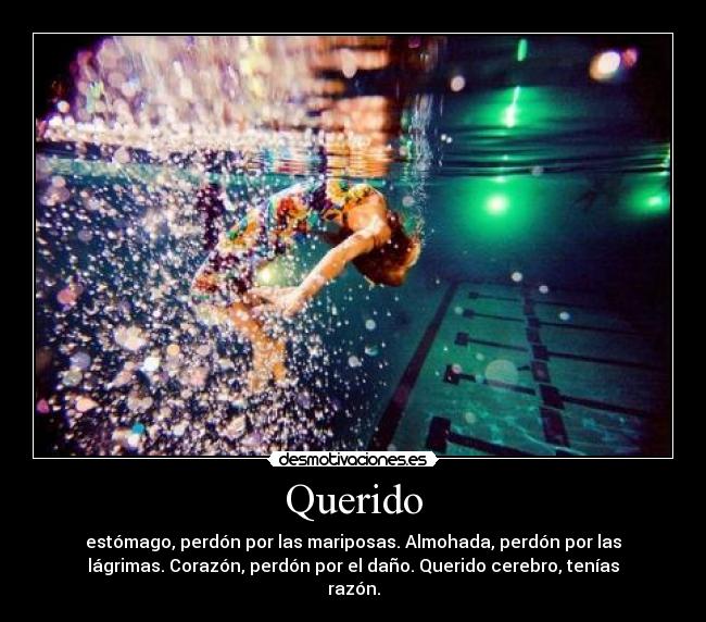 Querido - estómago, perdón por las mariposas. Almohada, perdón por las
lágrimas. Corazón, perdón por el daño. Querido cerebro, tenías
razón.
