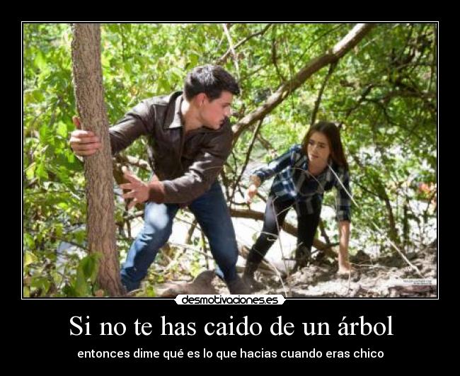 carteles fdgf desmotivaciones