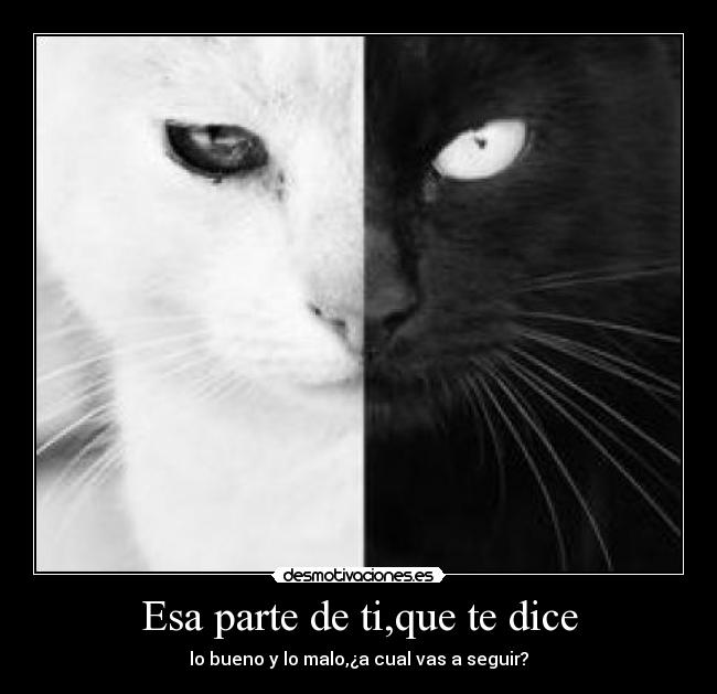 Esa parte de ti,que te dice - 