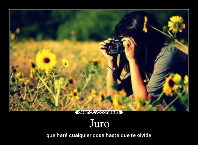 Juro -
