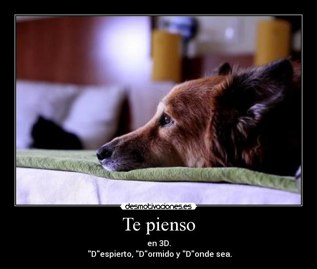 Te pienso - en 3D.
Despierto, Dormido y Donde sea.