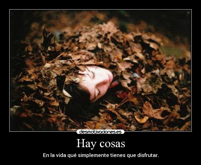 Hay cosas - En la vida qué simplemente tienes que disfrutar.