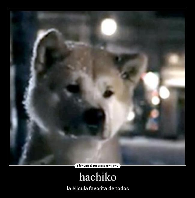 hachiko - la èlicula favorita de todos