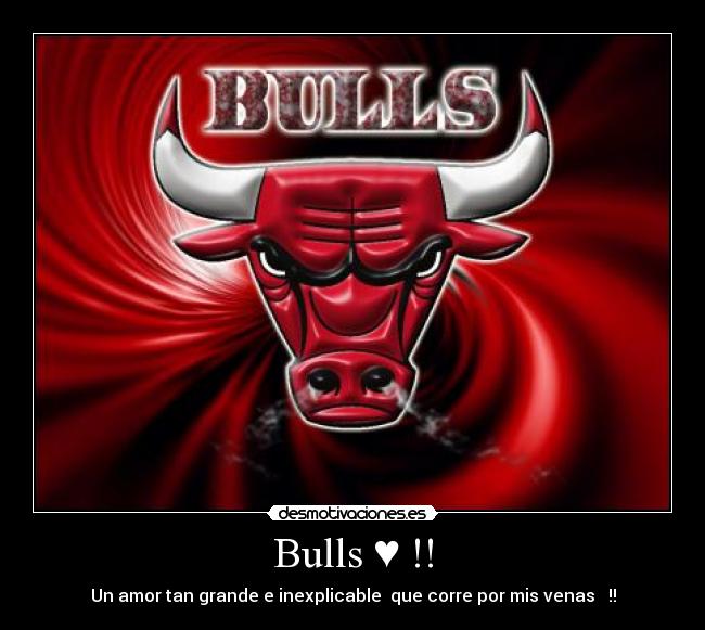 carteles basquet baloncesto chicago bulls michael jordan desmotivaciones