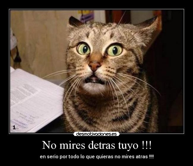 No mires detras tuyo !!! - 