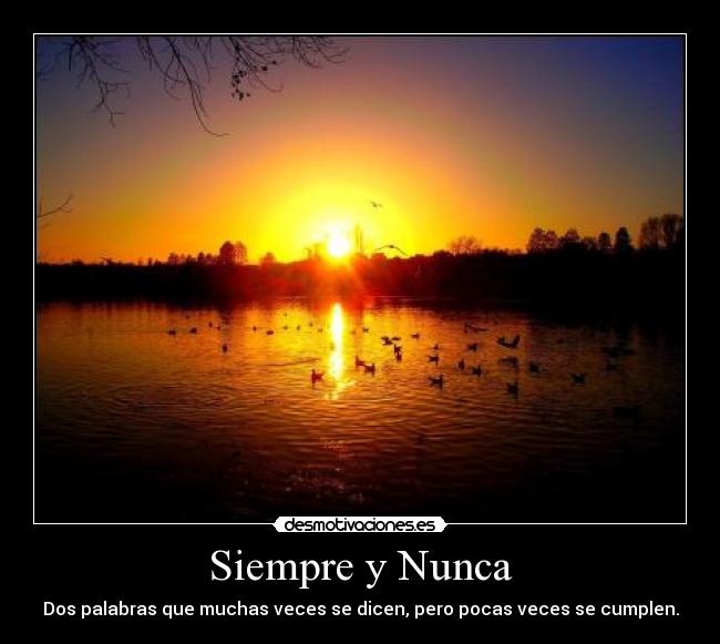 Siempre y Nunca -