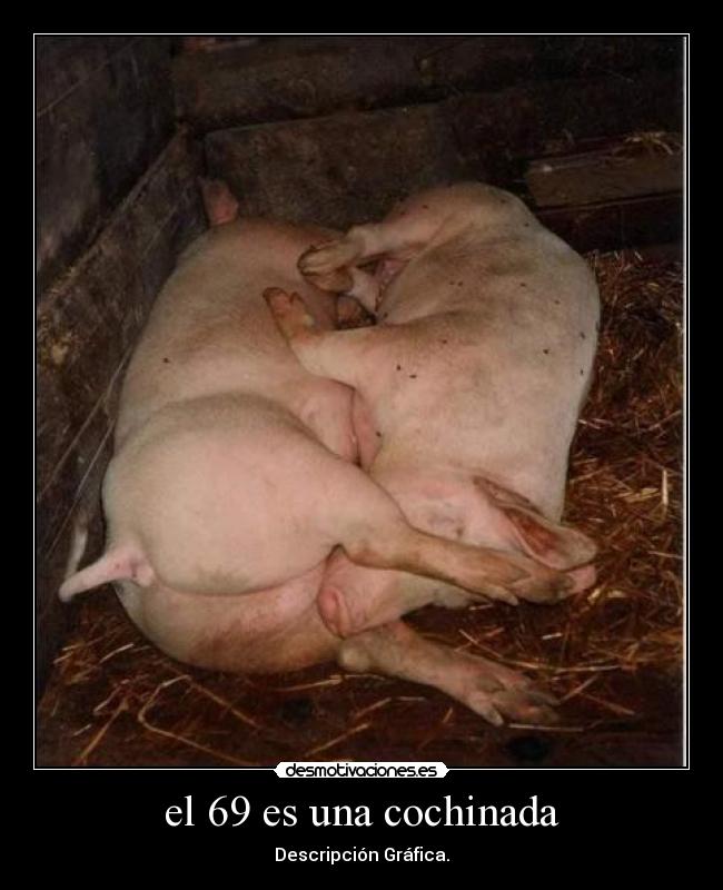 el 69 es una cochinada - Descripción Gráfica.