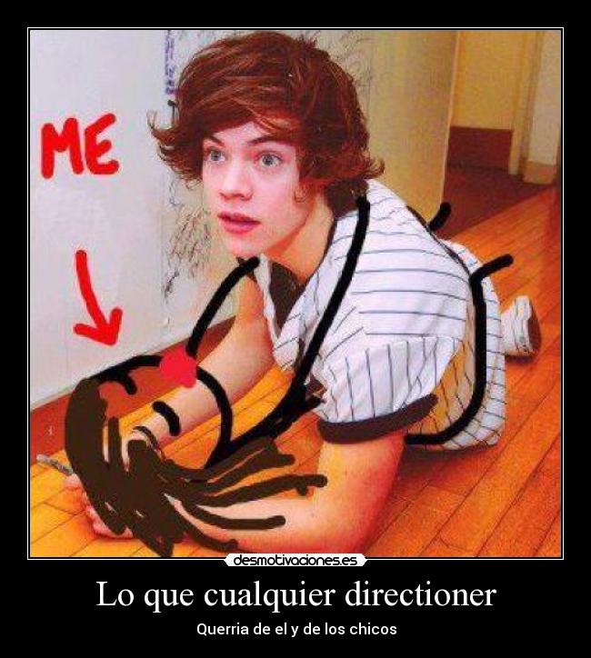 Lo que cualquier directioner - 