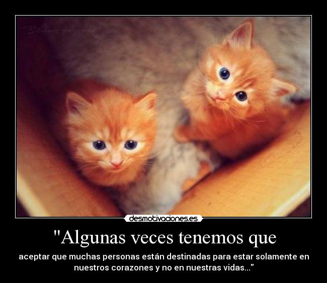 Algunas veces tenemos que -