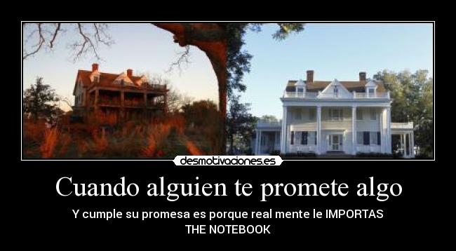 carteles the notebook amor puro sincero amarse por siempre desmotivaciones
