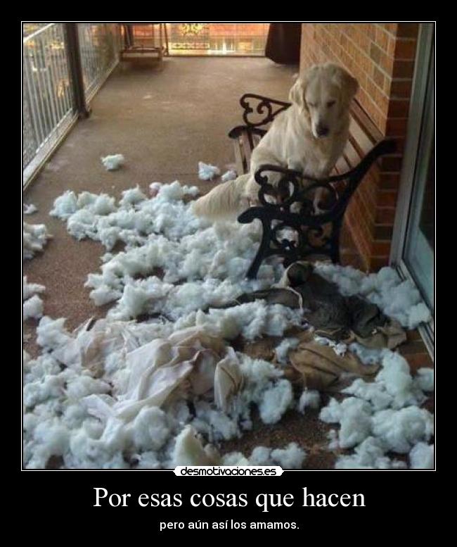 Por esas cosas que hacen - 