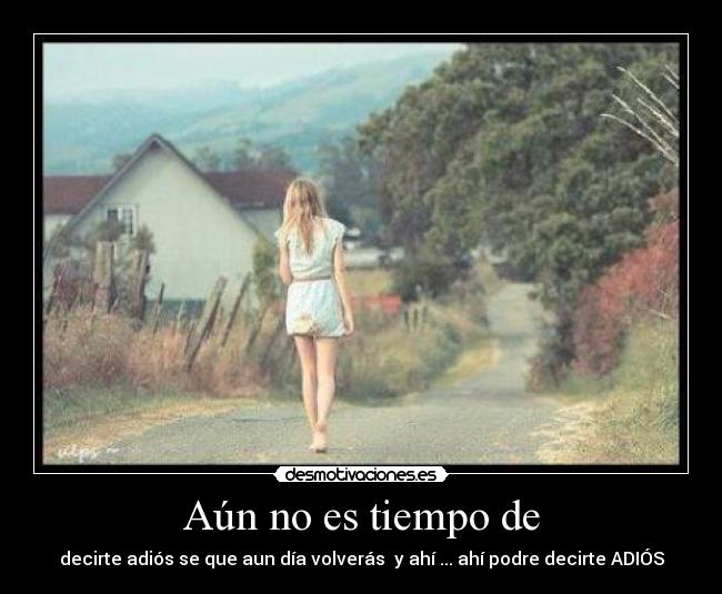 carteles adios desmotivaciones