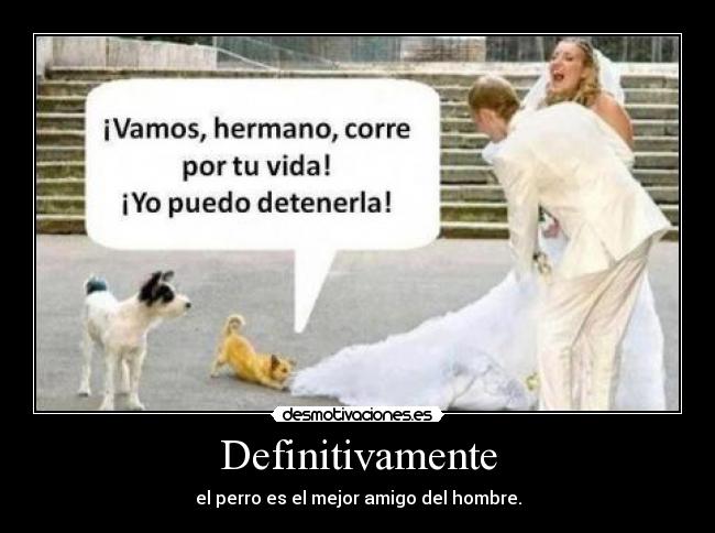Definitivamente - el perro es el mejor amigo del hombre.