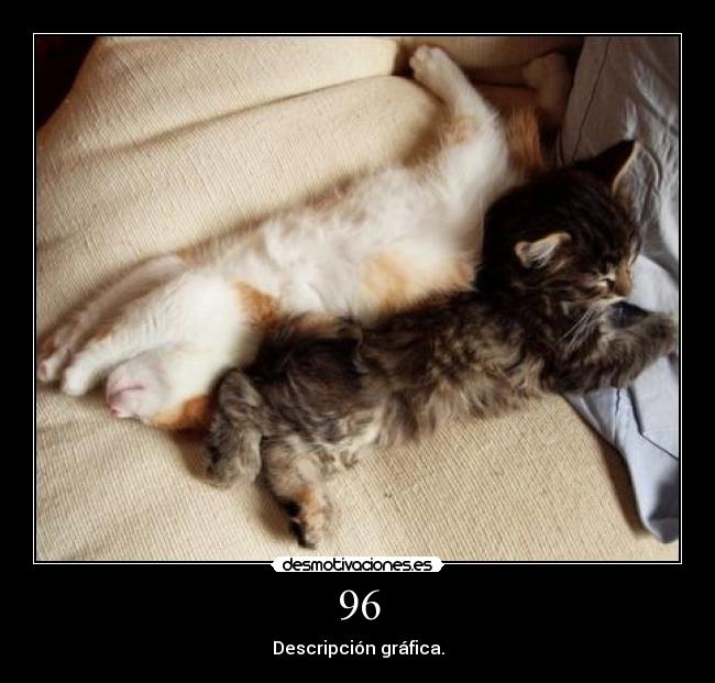 96 - Descripción gráfica.