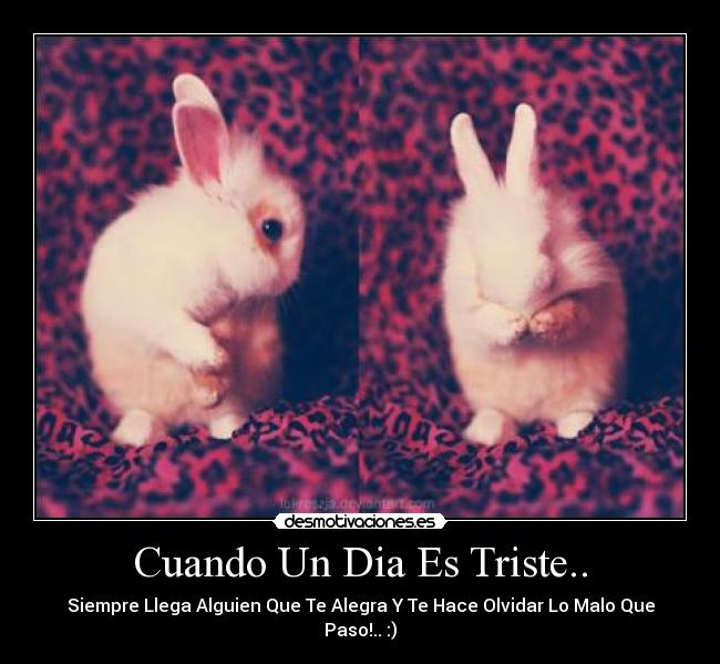 Cuando Un Dia Es Triste.. - Siempre Llega Alguien Que Te Alegra Y Te Hace Olvidar Lo Malo Que Paso!.. :)