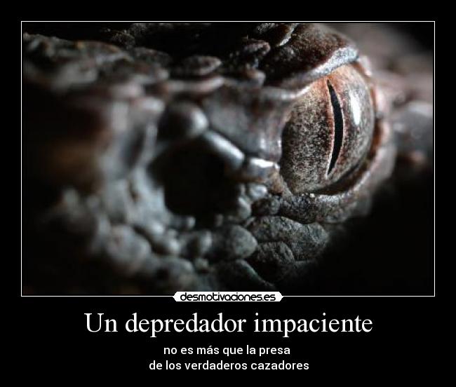 Un depredador impaciente - no es más que la presa
de los verdaderos cazadores