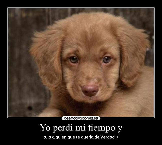 Yo perdi mi tiempo y -