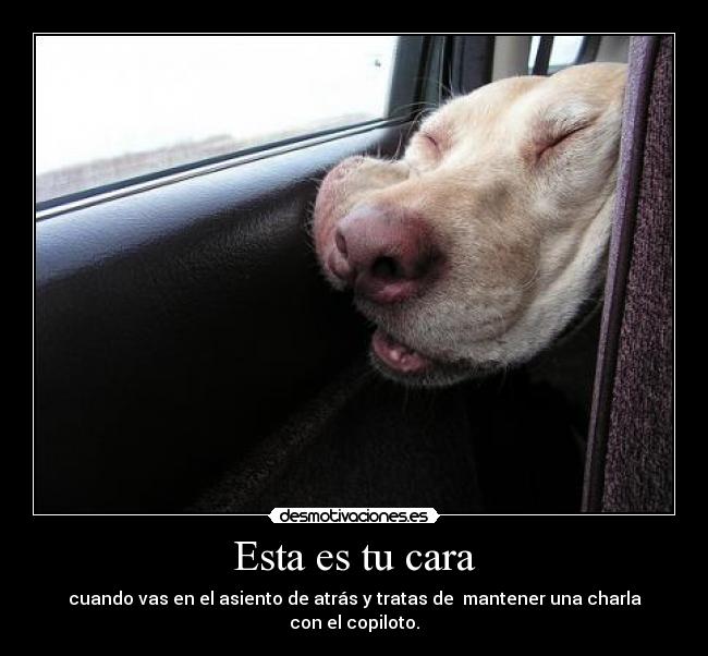 Esta es tu cara - cuando vas en el asiento de atrás y tratas de mantener una charla con el copiloto.