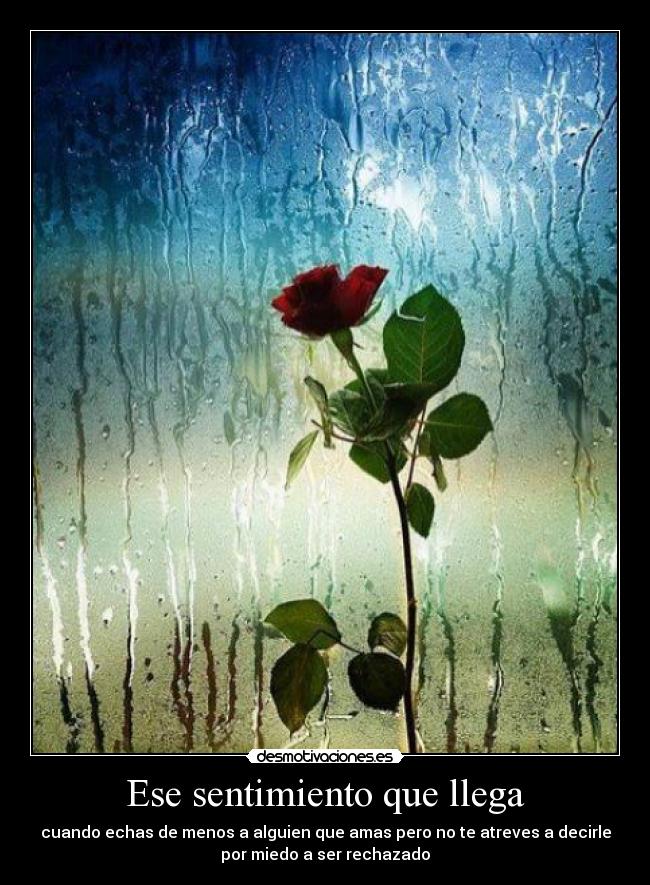 Ese sentimiento que llega - 