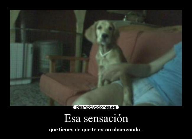 Esa sensación - que tienes de que te estan observando...