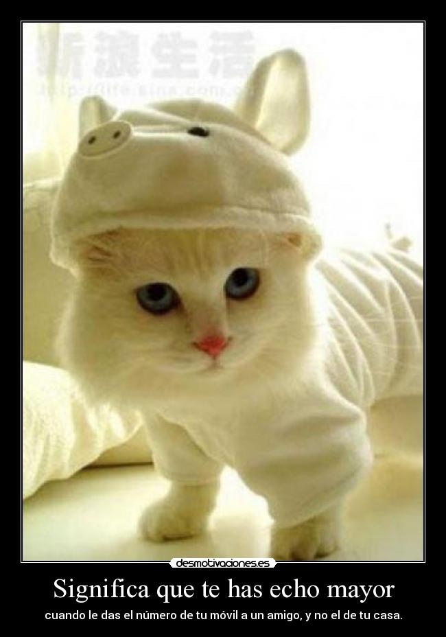 Significa que te has echo mayor -