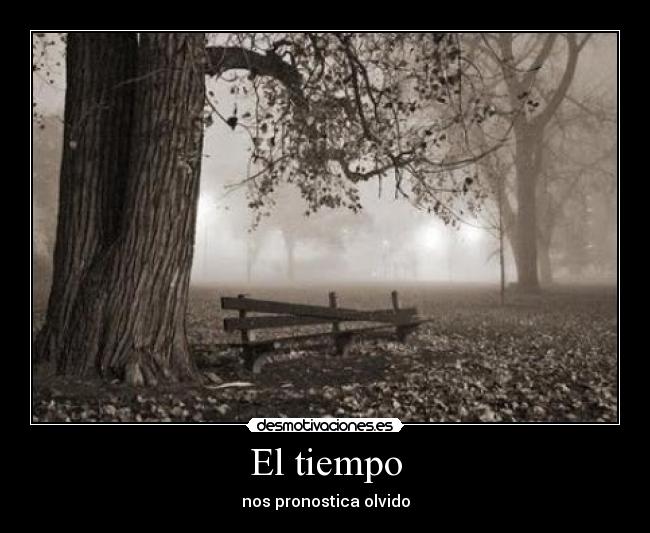 carteles eltiempoo desmotivaciones