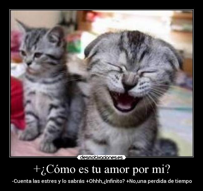 +¿Cómo es tu amor por mi? - -Cuenta las estres y lo sabrás +Ohhh,¿Infinito? +No,una perdida de tiempo