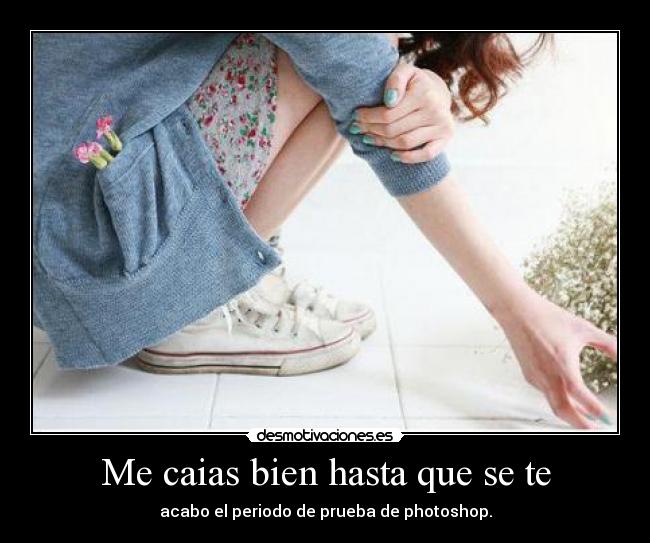 Me caias bien hasta que se te - acabo el periodo de prueba de photoshop.