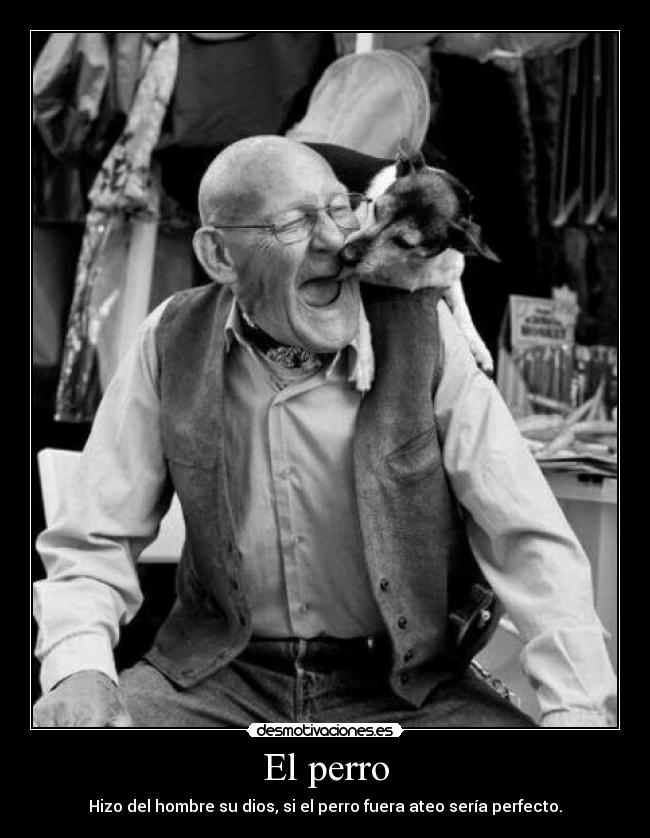 El perro - 