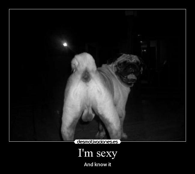 Im sexy - And know it