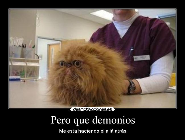 Pero que demonios - Me esta haciendo el allá atrás