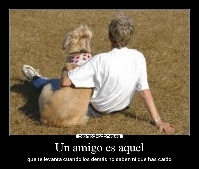 Un amigo es aquel - que te levanta cuando los demás no saben ni que has caído.