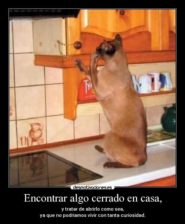 Encontrar algo cerrado en casa, -