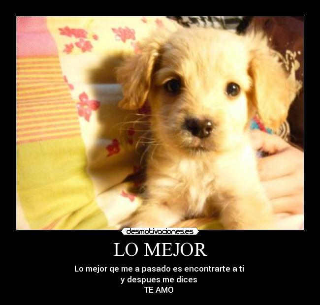 carteles carolina quiero desmotivaciones